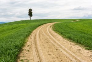 Antes de qualquer coisa, é preciso elaborar um projeto de pavimentação, que definirá o tipo de pavimento mais adequado, a espessura das camadas, o nivelamento do terreno, entre outros aspectos.